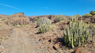 2024-02-GranCan-Playa Del Aguila-Trek-34.jpg